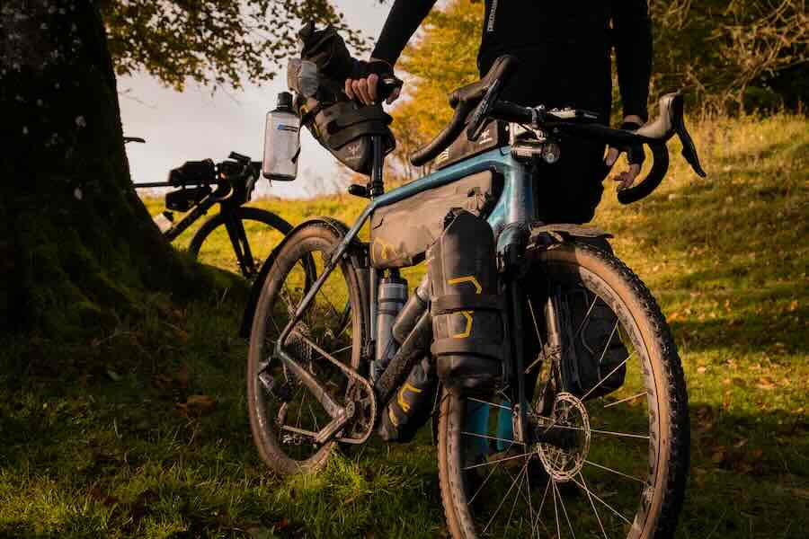 apidura
