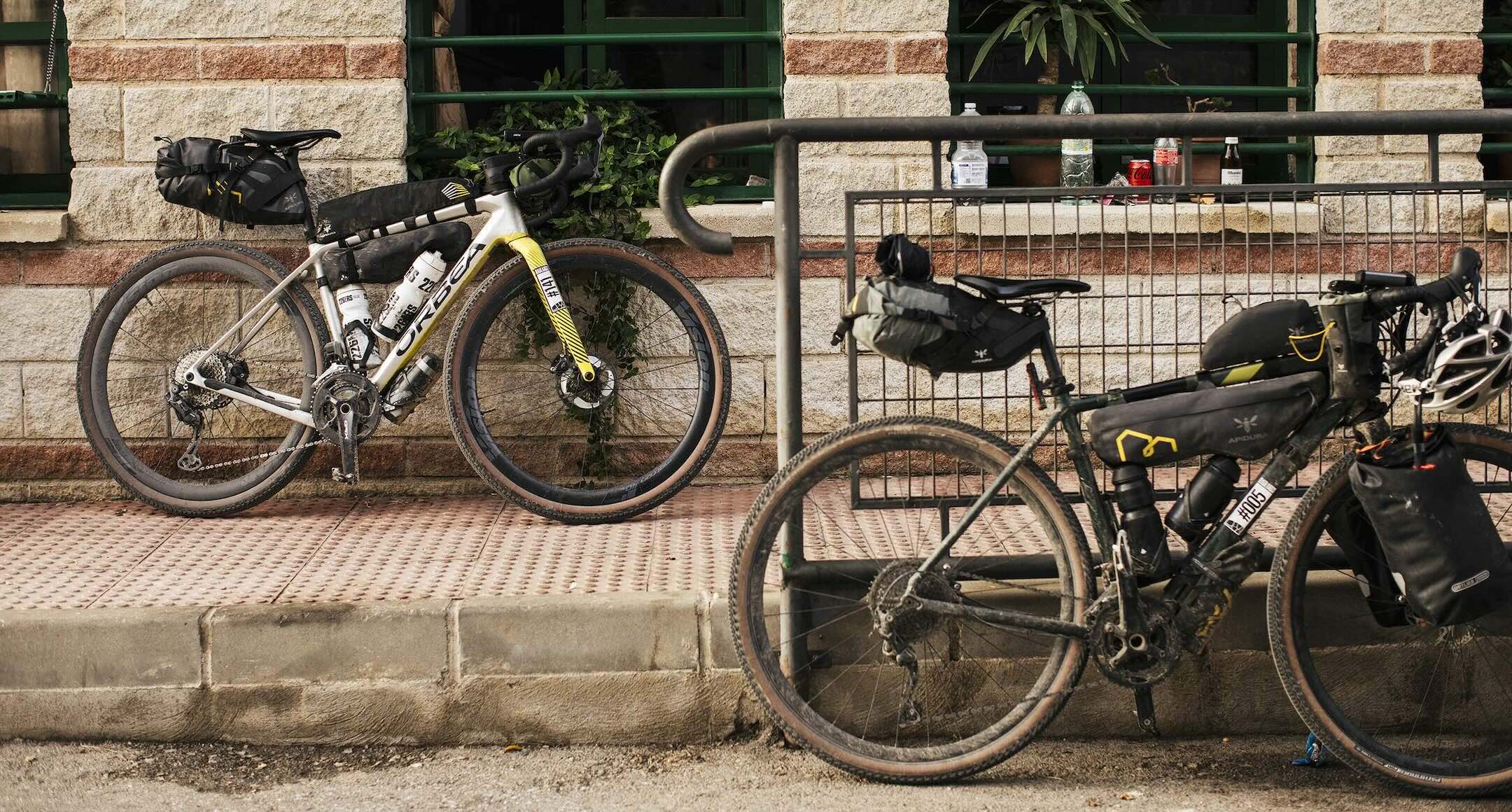 Apidura